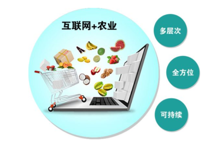 农业农村部办公室关于开展“互联网+”农产品出村进城工程试点工作的通知